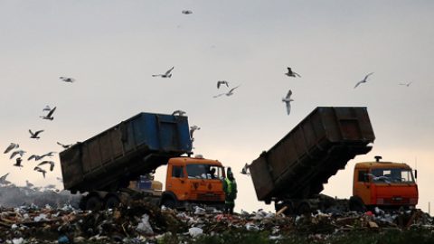 Компании за вывоз твердых коммунальных отходов насчитали 160 млн рублей за пять лет